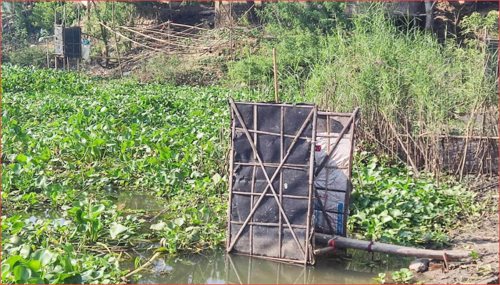 আধুনিক যুগেও লাখাইয়ে খোলা ল্যাট্রিন, ঝুঁকিতে প্রান্তিক জনগোষ্ঠী
