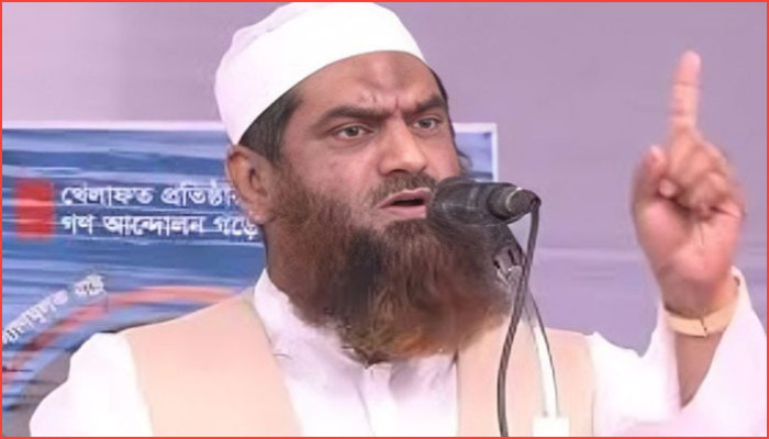 একসঙ্গে নির্বাচন ও গণভোট ঝুঁকিপূর্ণ সিদ্ধান্ত: মামুনুল হক