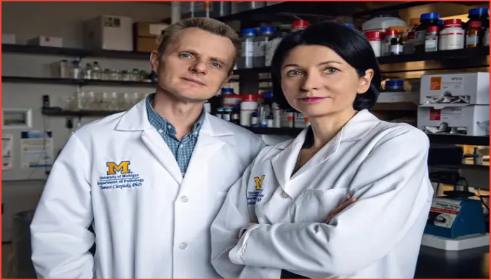 মিশিগান গবেষকদের আবিষ্কারে লিউকেমিয়ায় নতুন দিগন্ত