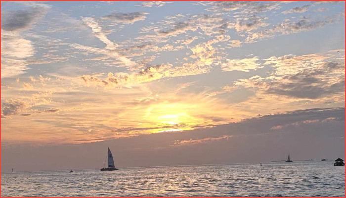 বিদায় ২০২৫, স্বাগত ২০২৬ :  উৎসবে মুখরিত আমেরিকা