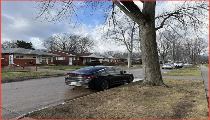 হার্পার উডসে গুলিতে একজন নিহত, প্রেমিক গুরুতর আহত