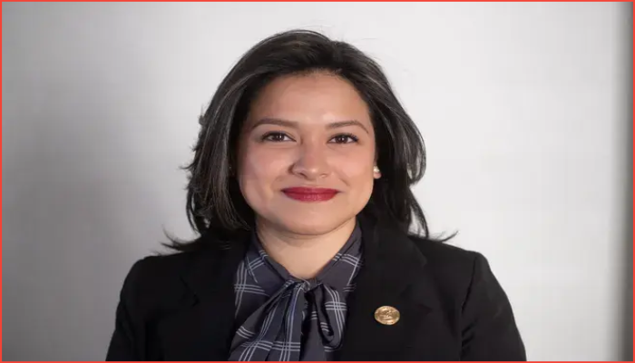 ডেট্রয়েটে আইসিই কার্যক্রমে সীমাবদ্ধতা চান কাউন্সিলর সান্তিয়াগো-রোমেরো