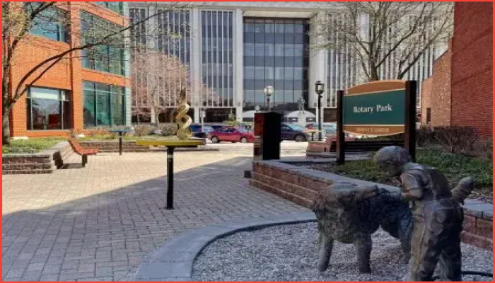 ডাস্টবিনের পেছনে ঠান্ডায় জমে গৃহহীন নারীর মৃত্যু