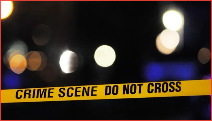 ক্লিনটন টাউনশিপে পুলিশের ধাওয়া এড়াতে গিয়ে ভয়াবহ দুর্ঘটনা, নিহত ২