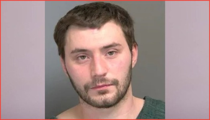 কুকুরকে নির্যাতনের অভিযোগে সেন্ট ক্লেয়ার শোরসের বাসিন্দা অভিযুক্ত