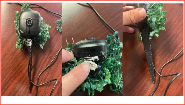 মার্কিনজুড়ে চুরির জাল, কলম্বিয়ান নাগরিকসহ চক্রের সাজা