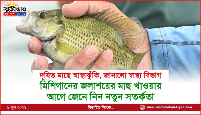 মিশিগানের জলাশয়ের মাছ খাওয়ার আগে জেনে নিন নতুন সতর্কতা