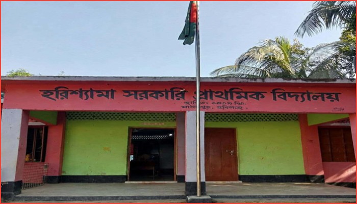 হবিগঞ্জে ৬ শিক্ষকের বিদ্যালয়ে শিক্ষার্থী মাত্র ৫০