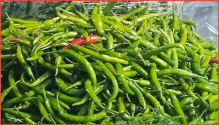 চুনারুঘাটে কাঁচামরিচ ৪০০ টাকা, অস্থির সবজির বাজার