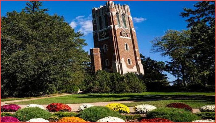 বিদ্যুৎ ফিরলেও MSU-তে  কাটেনি বিপর্যয়ের রেশ